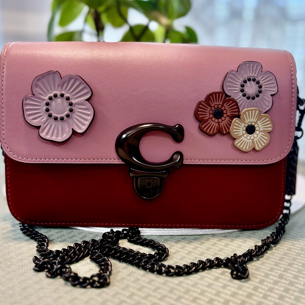 💗 Coach Studio Colorblock